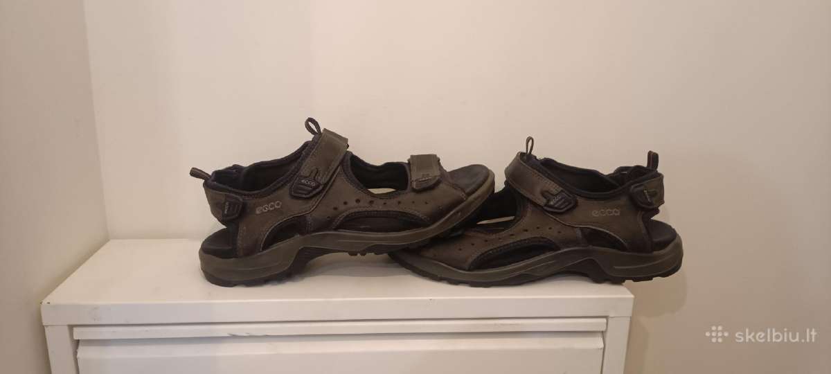 Ecco '42