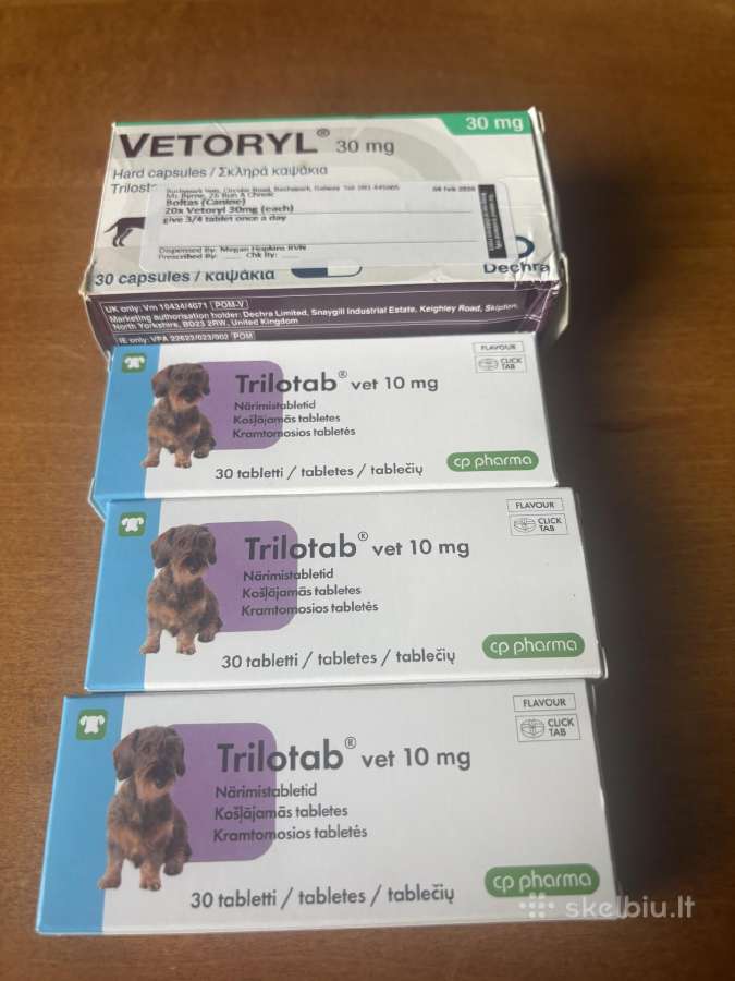 Trilotab ir vetorylis