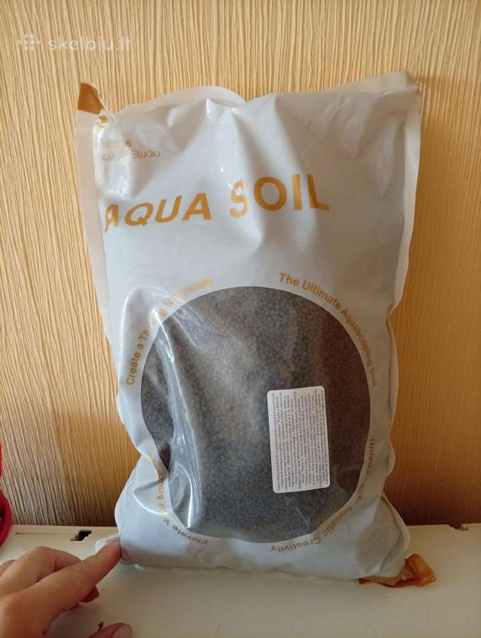 Soilas