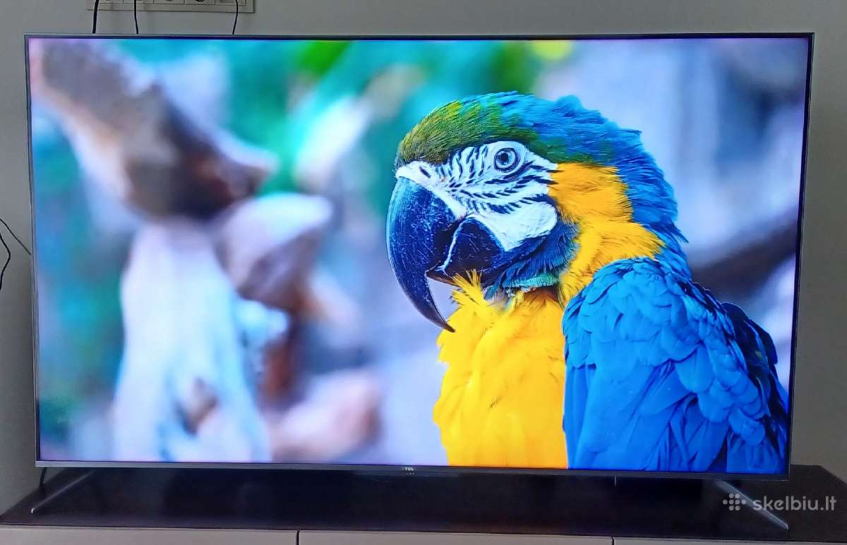 TV Tcl 65 coliai