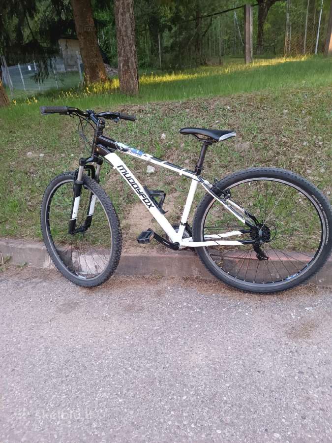 Kalnų dviratis