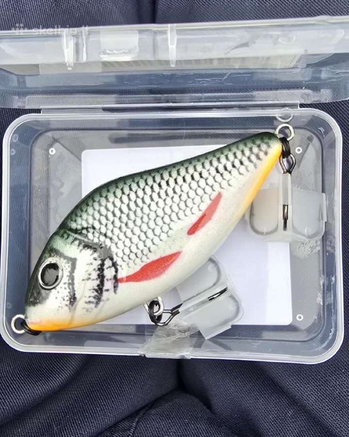Jerk bait masalas
