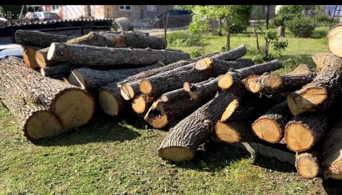 Parduodami ąžuolo rąstai
