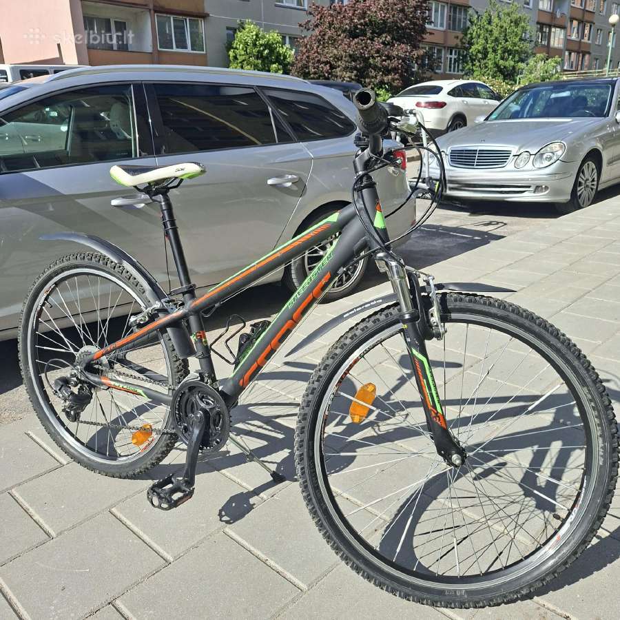 Kalnu dviratis 26"
