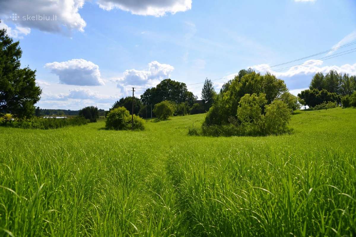 Dovanoju žolę
