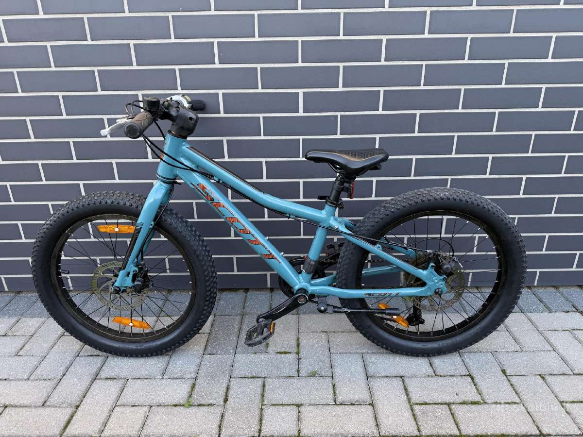 Scott Roxter 20