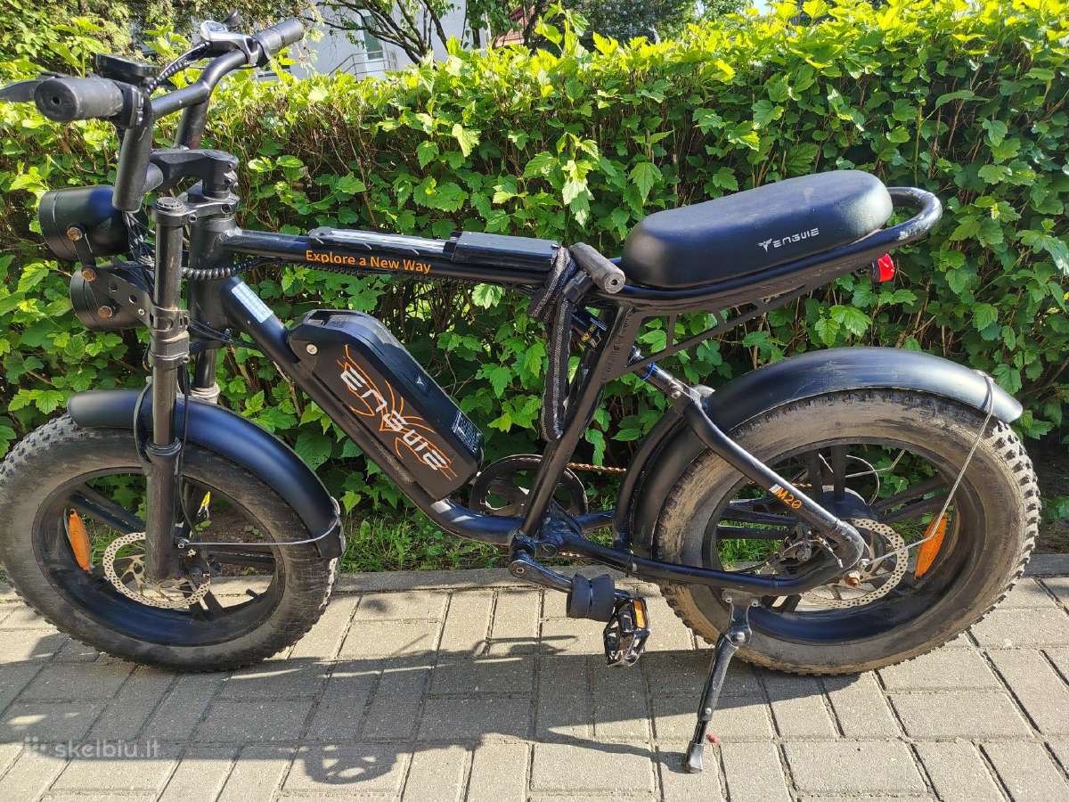 Engwe M20 Electric Bike 750w Dual Battery