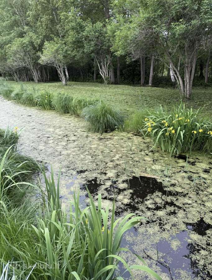 Parduodamas įrengtas namas šalia Karkles,baseinas - nuotraukos Nr. 6