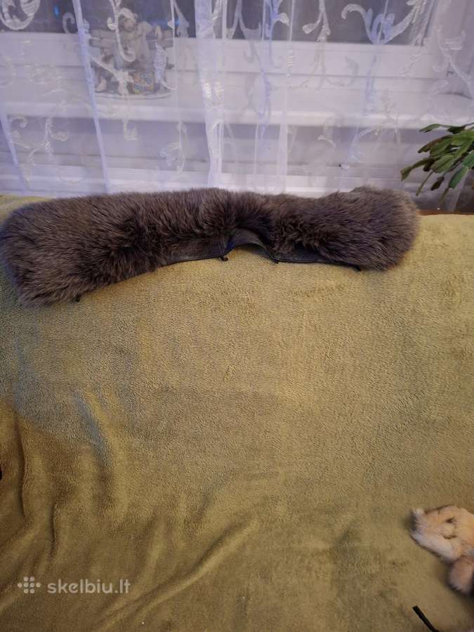 Apykaklė