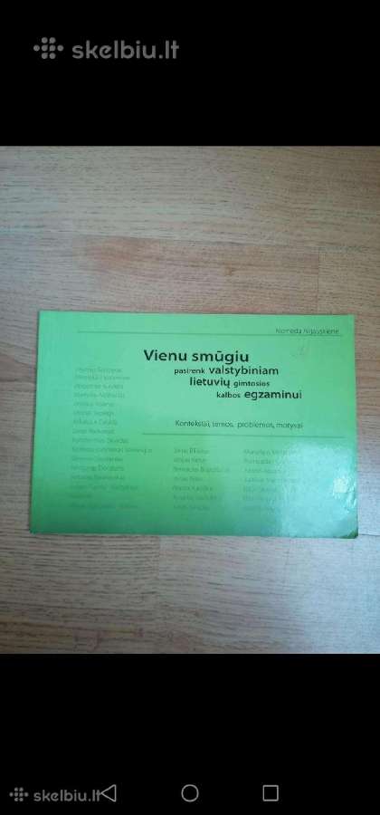 Daug knygu moksleiviams, abiturientams,vadoveliai - nuotraukos Nr. 14