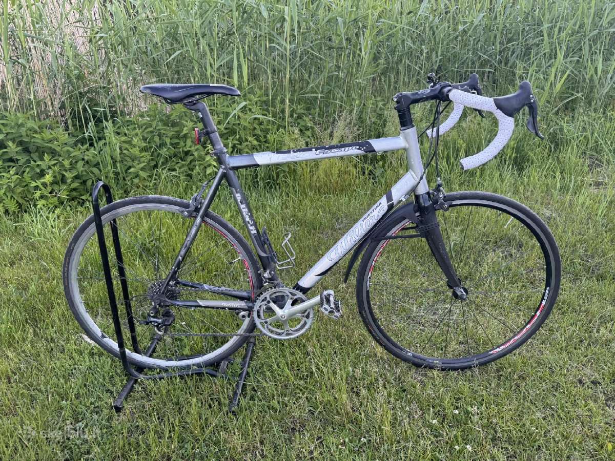 Wilier triestina plentinis dviratis