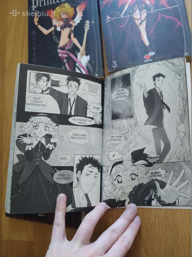 Manga - nuotraukos Nr. 3
