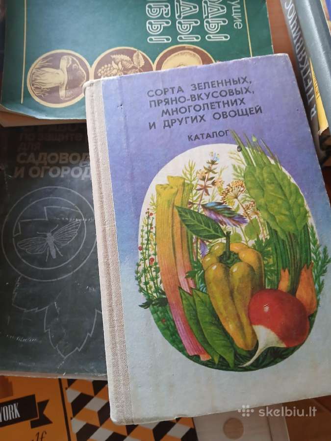 Dovanoju, rusų kalba - nuotraukos Nr. 4