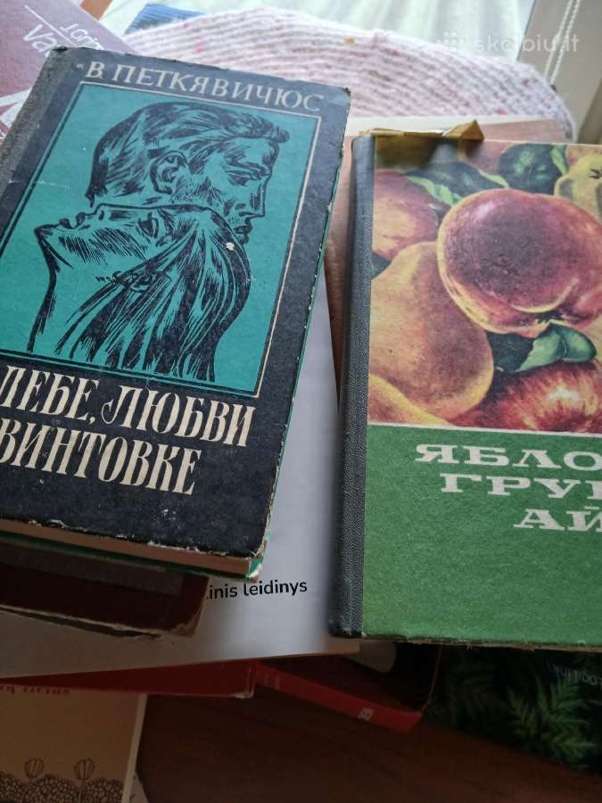 Dovanoju, rusų kalba - nuotraukos Nr. 6