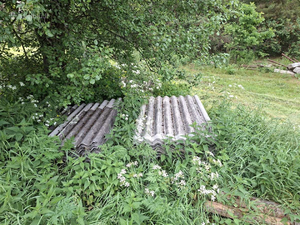 Dovanoju atiduodunaud. Sifery didieji lapai 300m2. - nuotraukos Nr. 2