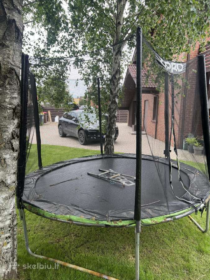 Batutas