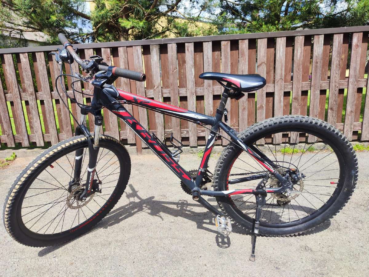 MTB/kalnų dviratis