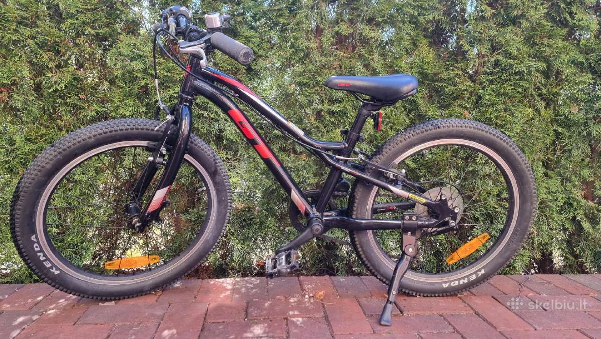 Vaikiškas dviratis Ace 20gt