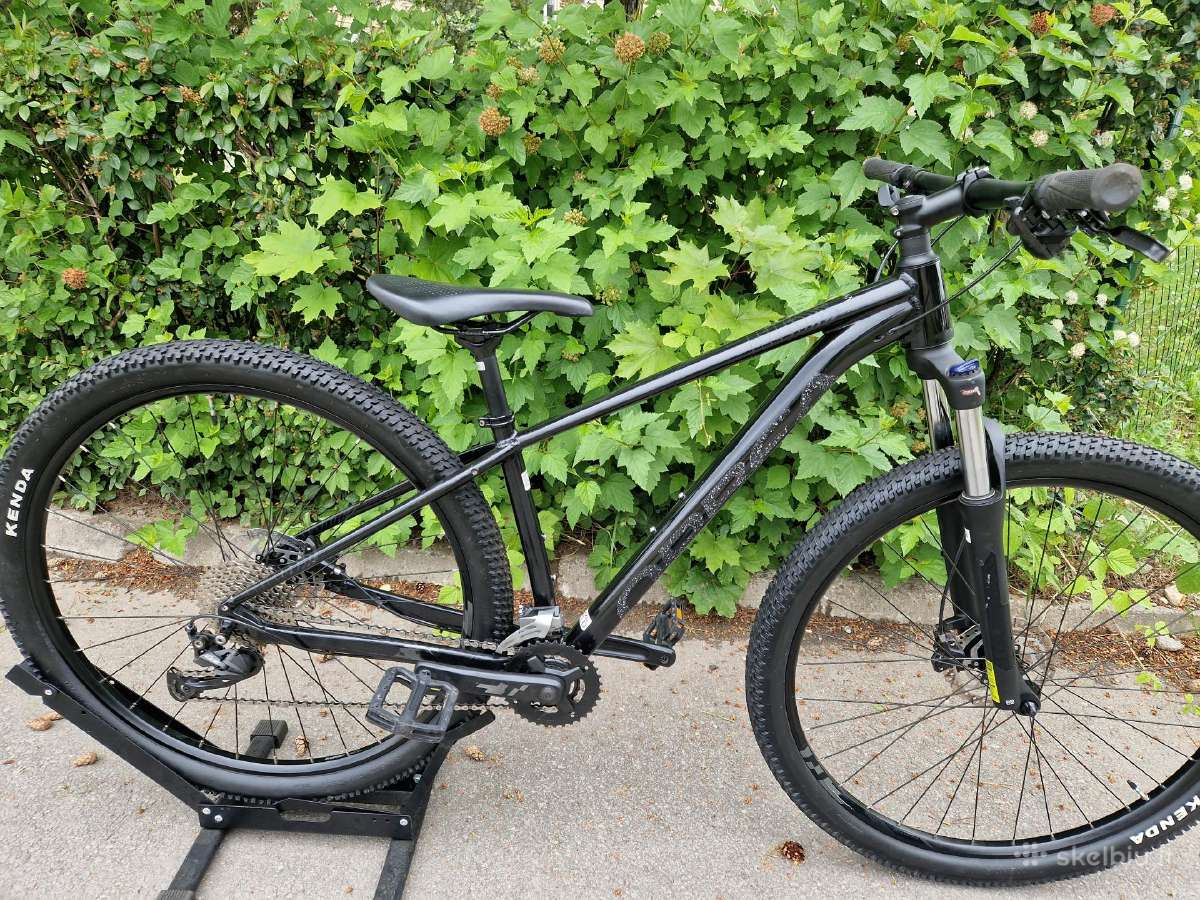 MTB Orbea kalnų dviratis 29er S dydis