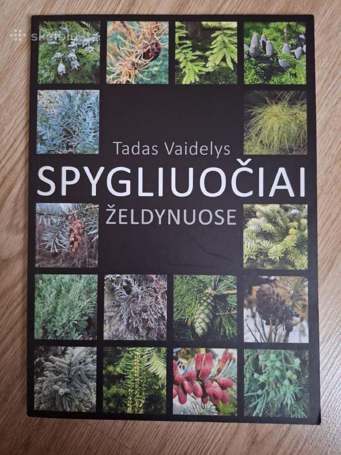 Spygliuočiai želdynuose
