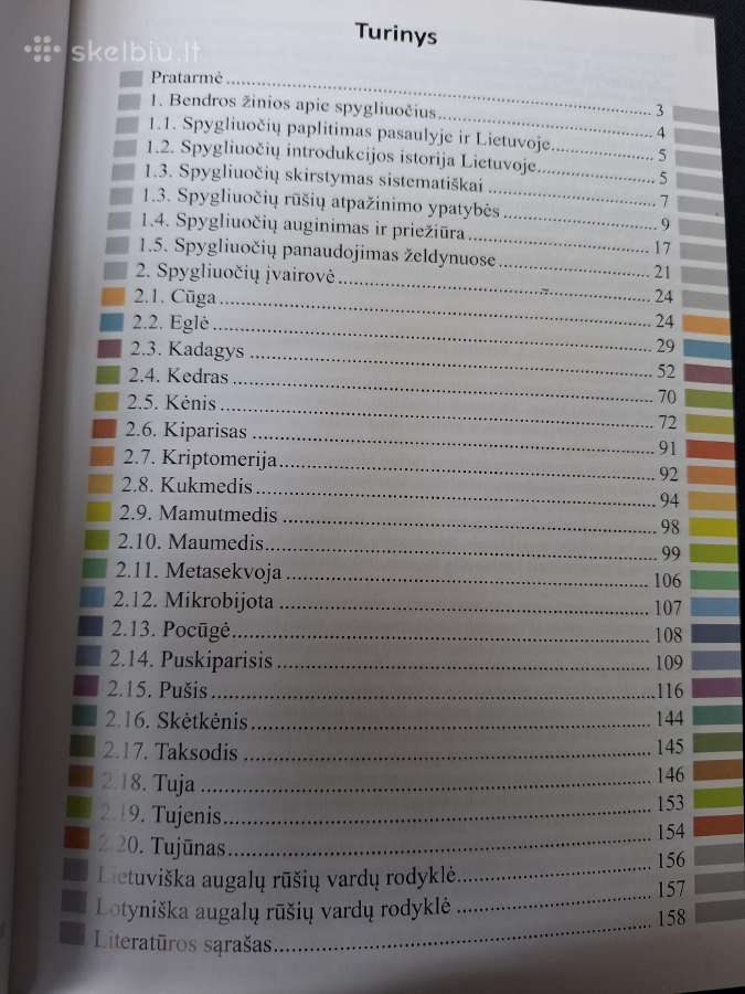 Spygliuočiai želdynuose - nuotraukos Nr. 2