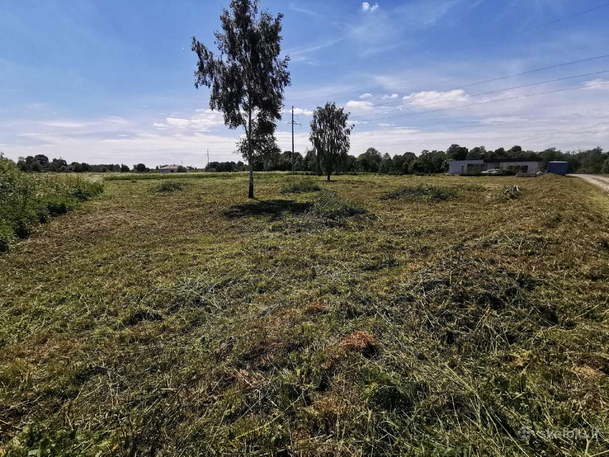 Sklypas šalia Eketės tvenkinio - nuotraukos Nr. 4