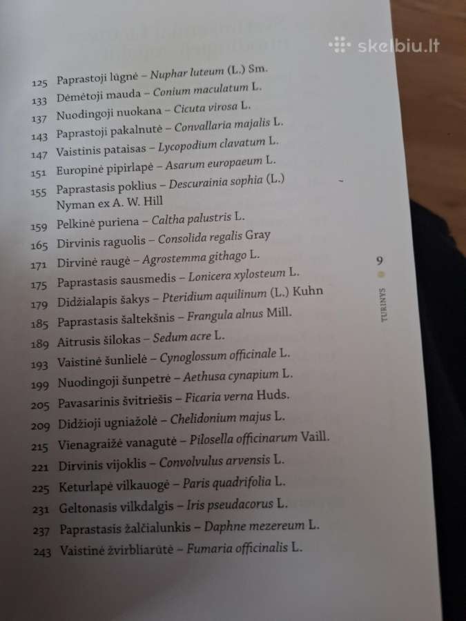 Nuodingieji augalai šalia mūsų - nuotraukos Nr. 2