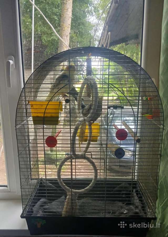 Nimfos 4 su narvu parduotu