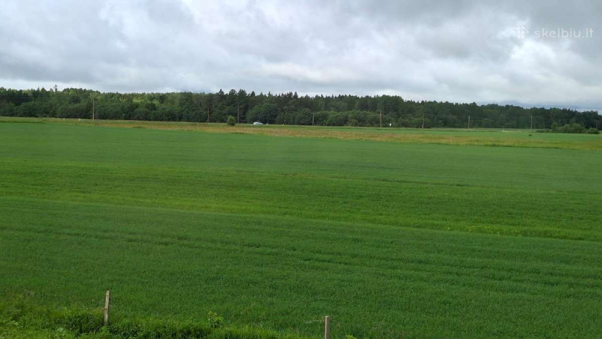 Sodyba Namas Vienkiemis Gamta ir Ramybė - nuotraukos Nr. 17