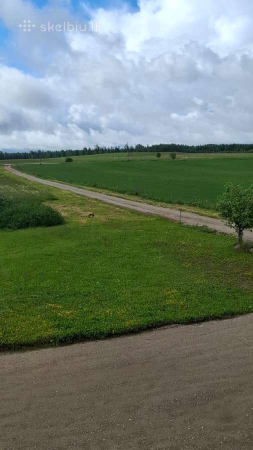 Sodyba Namas Vienkiemis Gamta ir Ramybė - nuotraukos Nr. 20