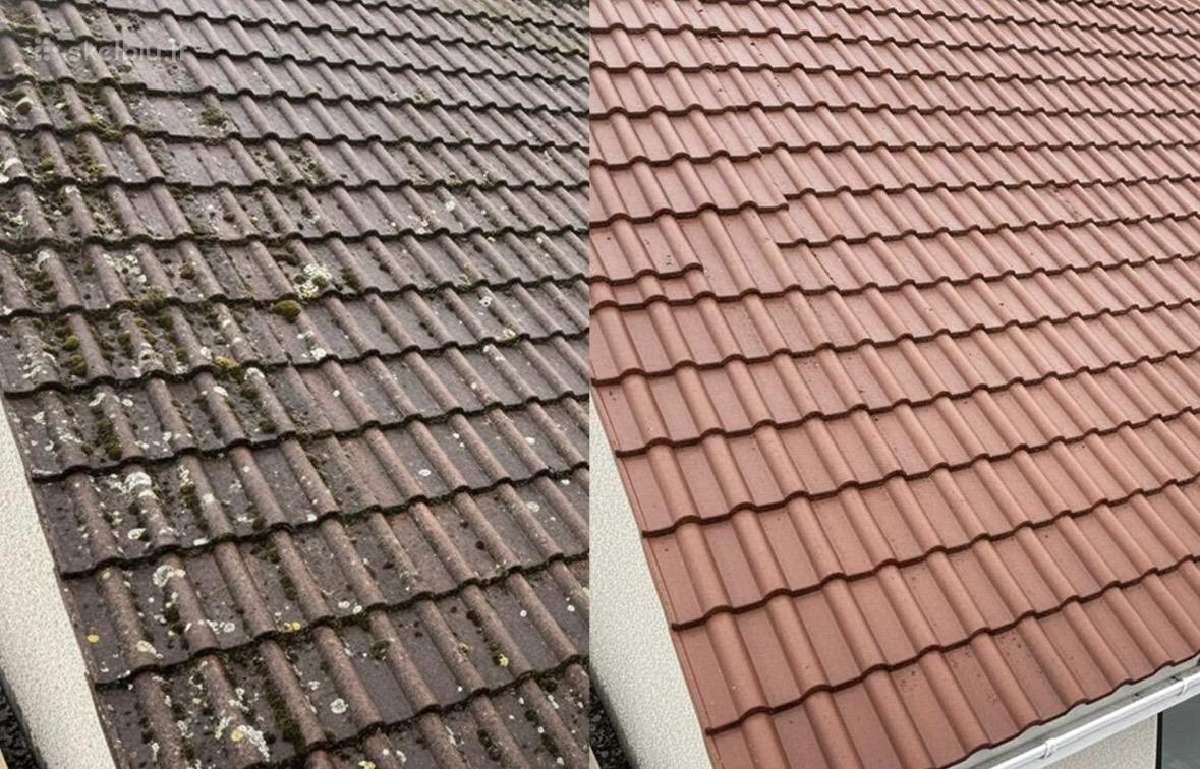Stogų, fasadų, terasų ir trinkelių valymas - nuotraukos Nr. 4