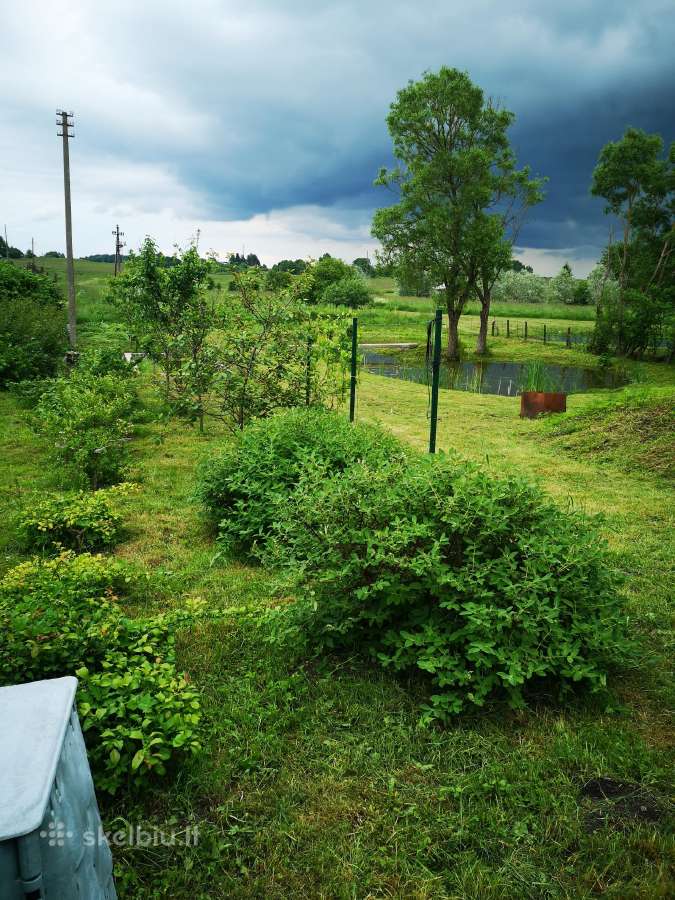 Renovuotas namas, didelis sklypas - nuotraukos Nr. 11