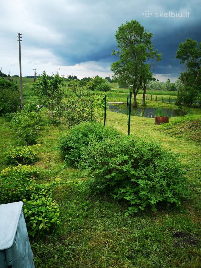 Renovuotas namas, didelis sklypas - nuotraukos Nr. 14