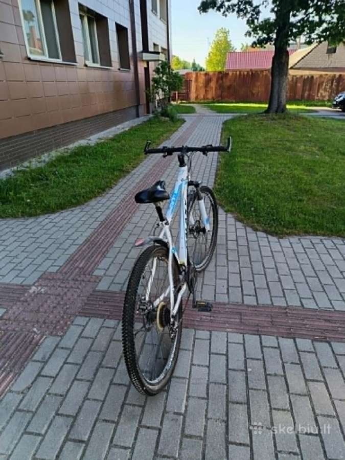 Kalnų dviratis ir elektrinis dviratis