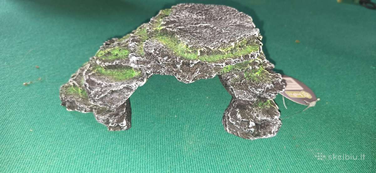 Akvariumo dekoracija ola