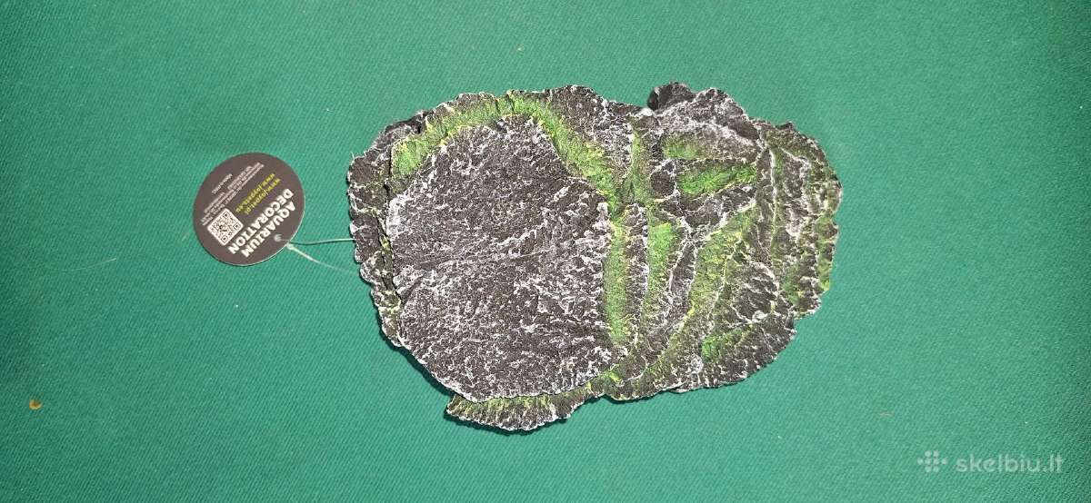 Akvariumo dekoracija ola - nuotraukos Nr. 3