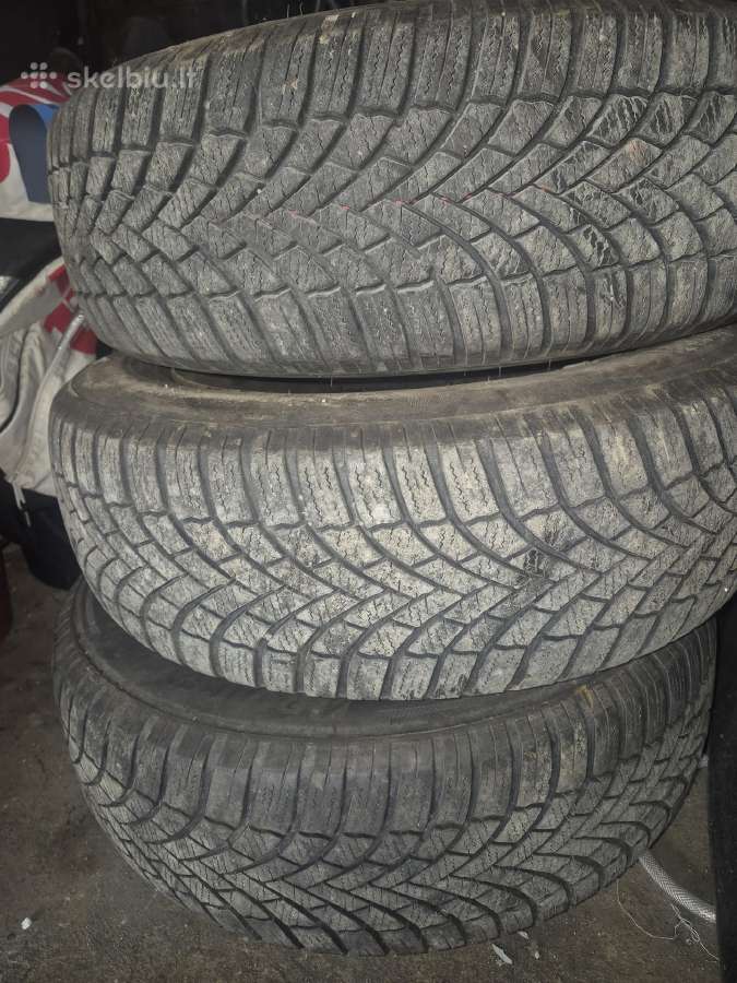 R15 žieminės