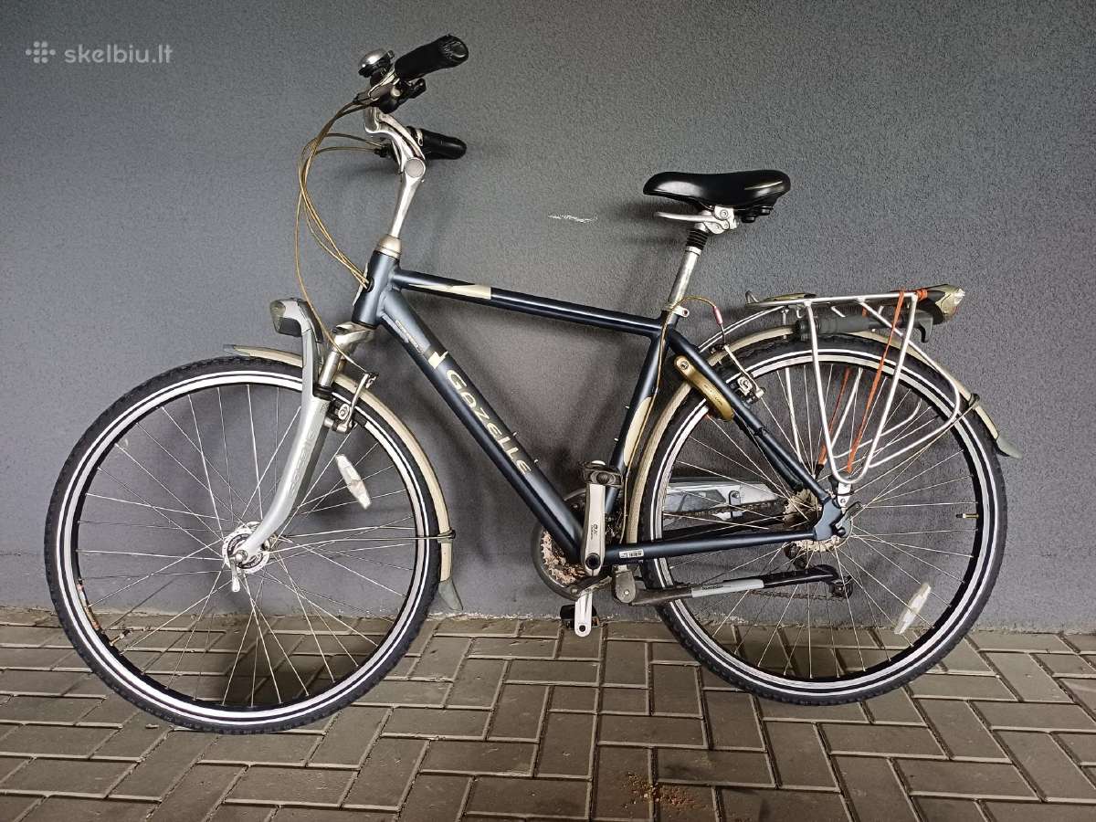 Gazelle Medeo