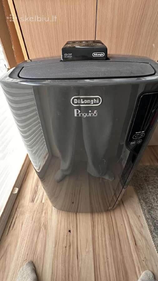 Delonghi Pinguino pastatomas kondicionierius
