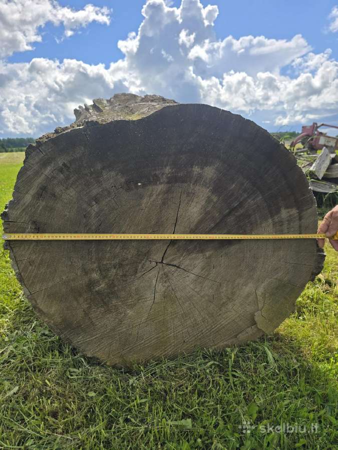 Parduodu ąžuolo rąstą 2m ilgio