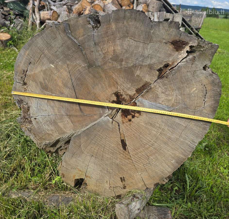 Parduodu ąžuolo rąstą 2m ilgio - nuotraukos Nr. 3