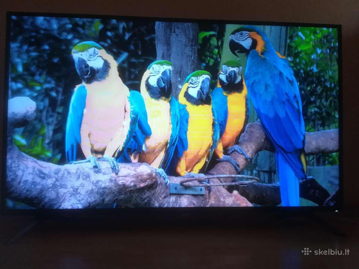 Sharp 55bl2ea Smart TV 140cm 4k Ultra HD „wi-fi“ - nuotraukos Nr. 8