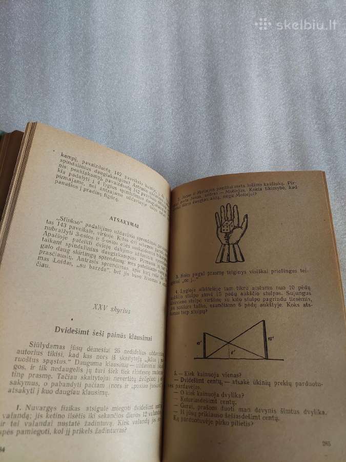 Matematika laisvalaikiu - nuotraukos Nr. 6