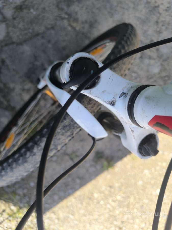 Specialized - nuotraukos Nr. 2