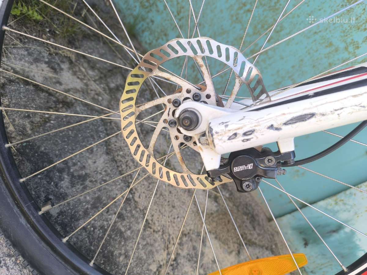 Specialized - nuotraukos Nr. 3