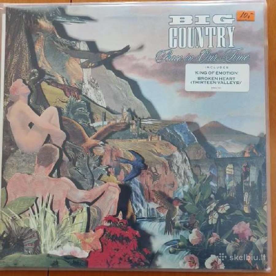 Vinilinės Plokštelės - nuotraukos Nr. 16