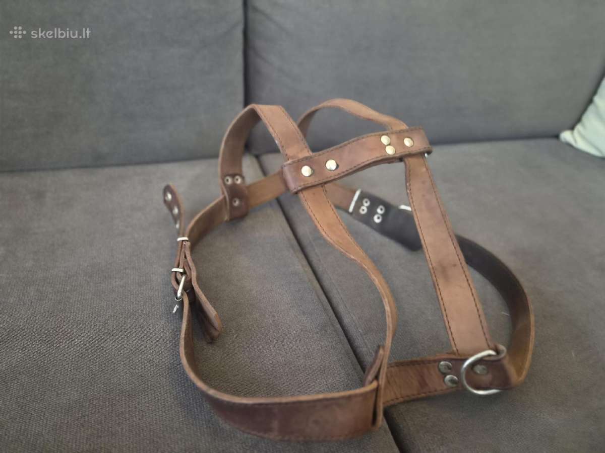 Odinės petnešos dideliam šuniui, apie 60 kg