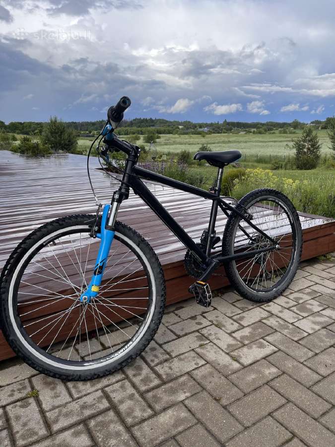 Kalnų dviratis (MTB)