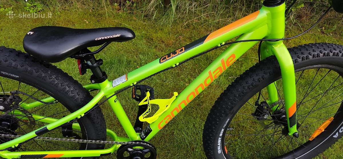 Cannondale 24