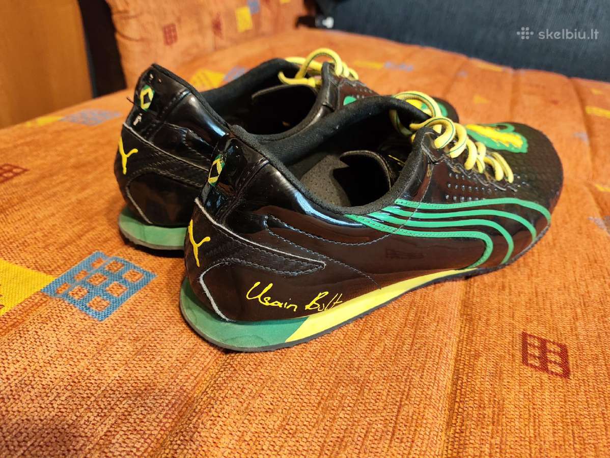 Puma jamaica - nuotraukos Nr. 2